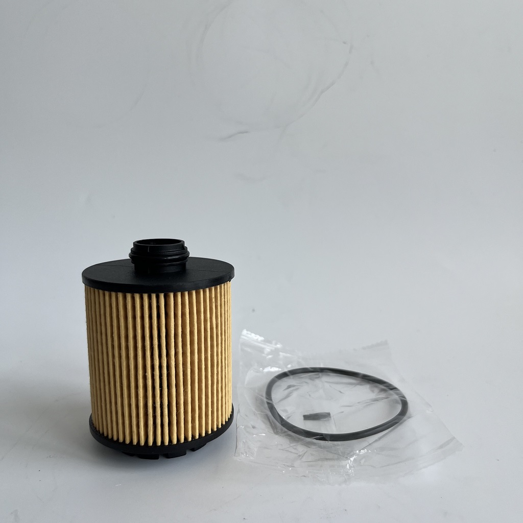 HU7043Z 1612565980 Filter Oil ji bo Petgeot