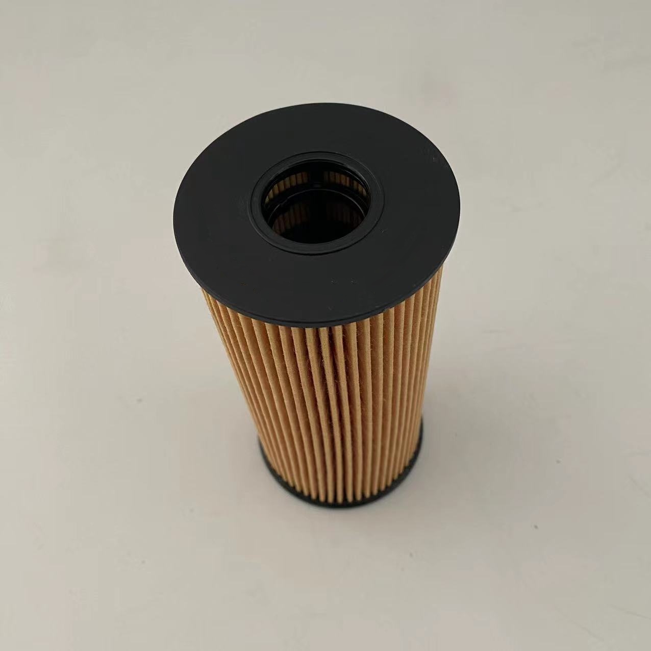 Filterên neftê 1012014-FD2301